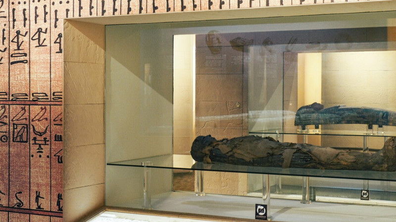 科博館指出生命科學廳展出的木乃伊是真品。   圖：擷取自國立自然科學博物館臉書