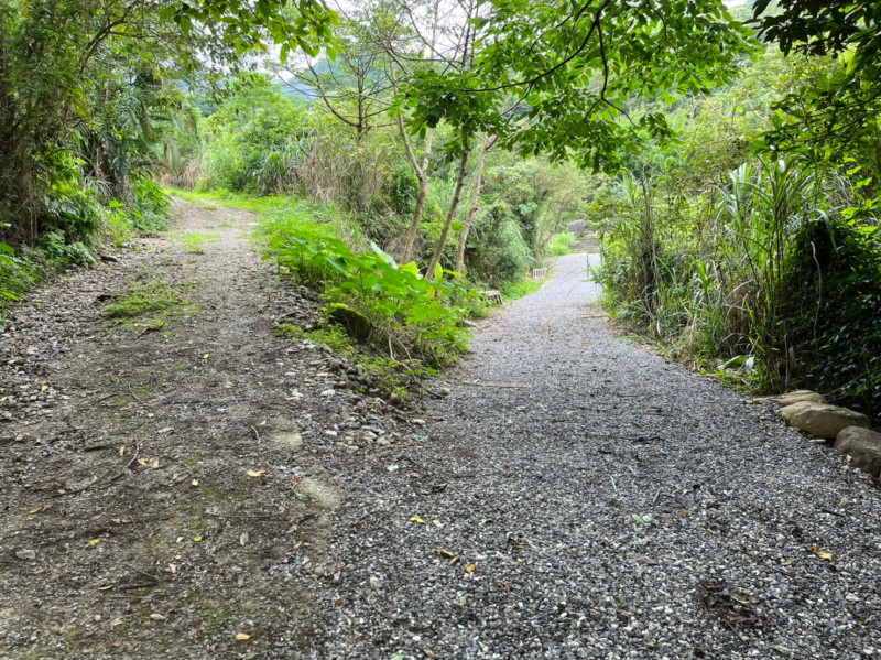 大路崁登山步道修復後恢復路徑。   圖：金山區公所提供