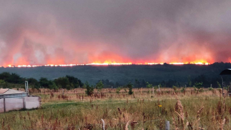 法國西部布列塔尼（Brittany）創下超過40度高溫的紀錄，森林野火不斷。   圖:The Green Valley Brittany臉書