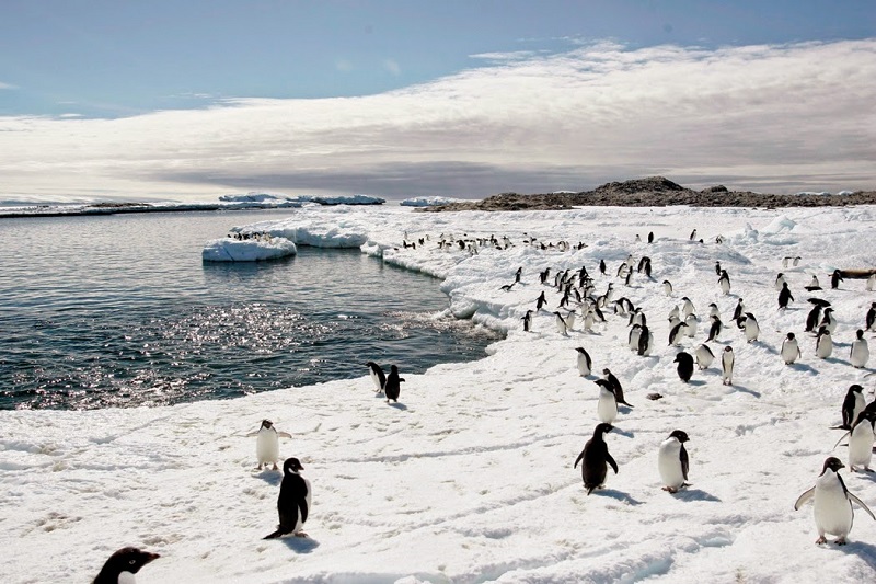 南極海洋生物資源養護委員會(CCAMLR) 25國專家17日出席年會，討論在南極周邊建立世界上規模最大的海洋保護區。   圖片來源：達志影像/路透社資料照片   