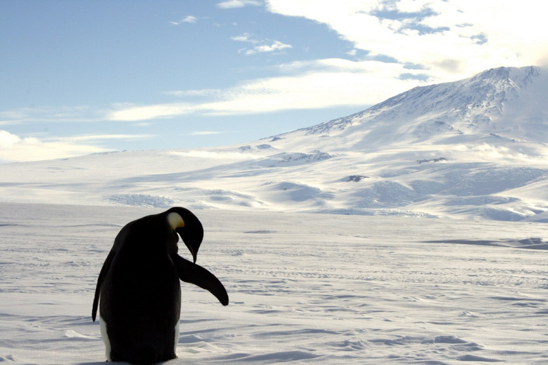 南極將創設世界最大的海洋保護區。   圖：達志影像/路透社資料照片