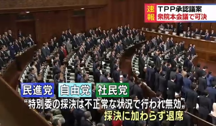 日本眾議院院會10日針對跨太平洋夥伴協定（TPP）進行表決，在執政聯盟等多數贊成的情況下過關，提交參議院明天審議。   圖：翻攝NHK