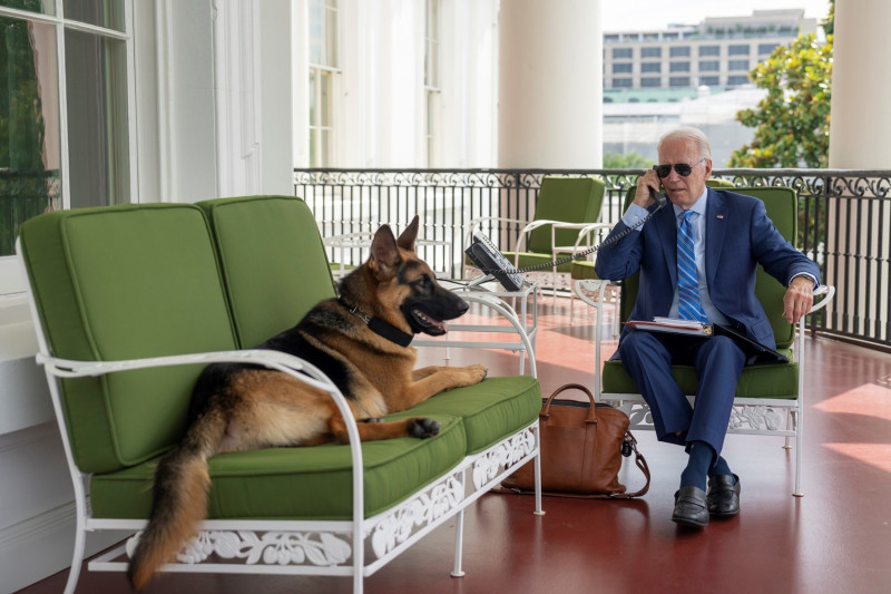 美國總統拜登確診隔離在白宮，持續忙碌工作，愛犬「司令」陪在一旁，精神看起來相當好。   圖：翻攝自拜登臉書