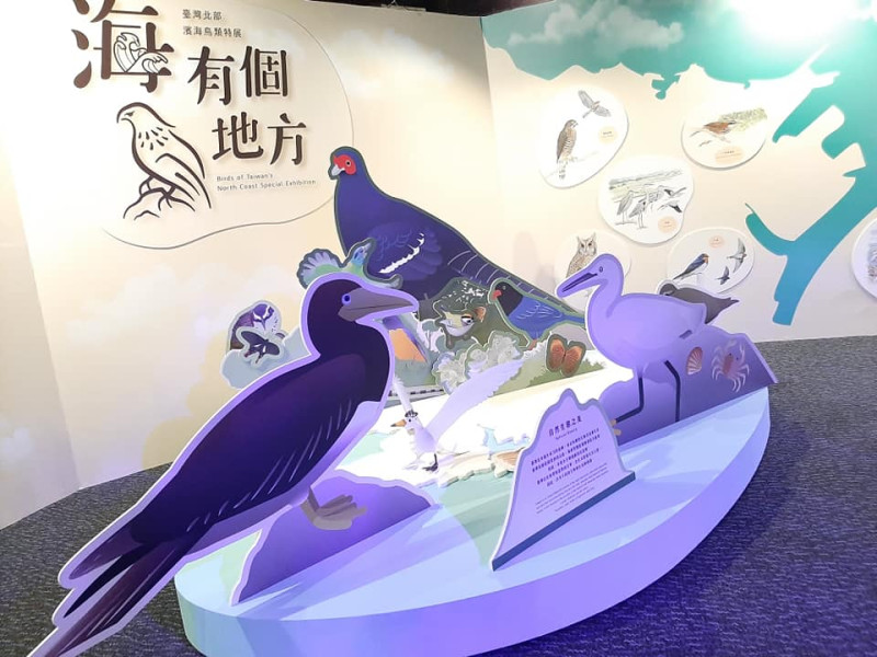 「海有個鳥地方-台灣北部濱海鳥類特展」，展期從今（26）日起至11月20日。   圖：特生中心 / 提供（姚正得攝）