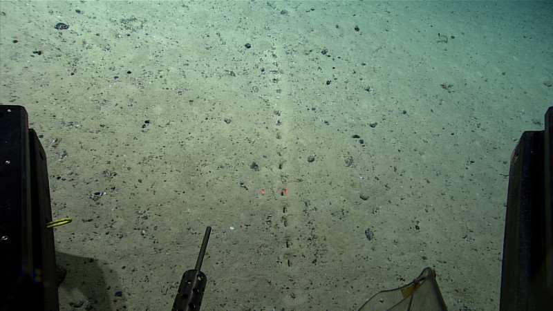 美國科學家於日前的海脊探索中，在大西洋海床處發現一排形似虛線，且整齊劃一的孔洞，尚不清楚是人為造成，或「某物」挖掘出來的。   圖：擷取自美國國家海洋暨大氣總署推特@oceanexplorer