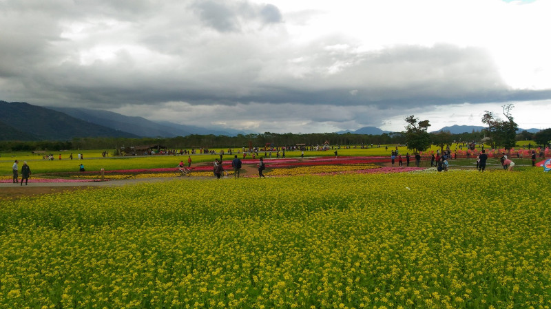 大農大富平地森林園區核心草地區域開放寵物入園。   圖：農委會／提供