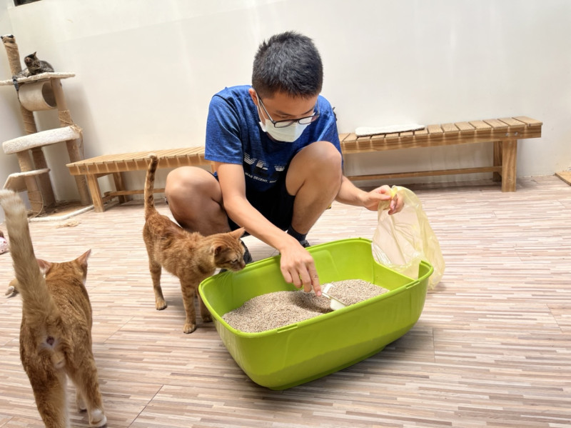 體驗一日貓爸爸清理貓砂盆的民眾。   圖：新北市動保處提供