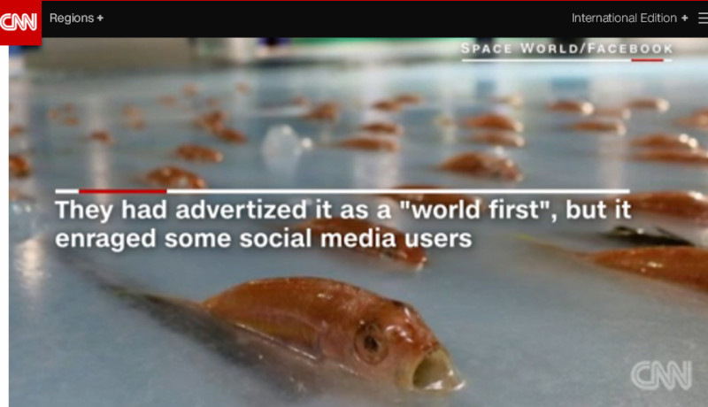 日本北九州市的「太空世界」遊樂園在滑冰場埋滿魚屍，遭遊客狠批噁心。   圖：翻攝CNN