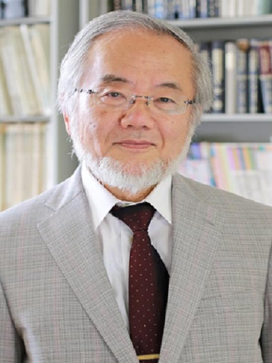 日本東京工業大學71歲的榮譽教授大隅良典，榮獲今年諾貝爾醫學暨生理學獎。   圖：翻攝自維基百科。