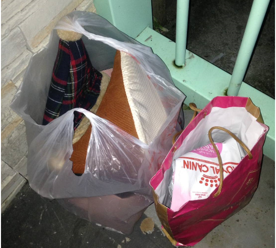 兩只紙袋裝著貓跟寵物用品被丟棄至收容中心門口前面。   圖：新北市動保處提供
