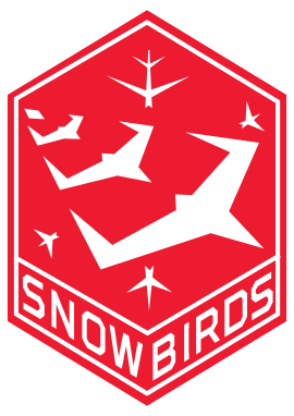 加拿大「雪鳥」飛行表演隊是北美地區著名的飛行表演隊之一，目前隊內擁有20架CT-114型教練機。   圖:翻攝自維基百科