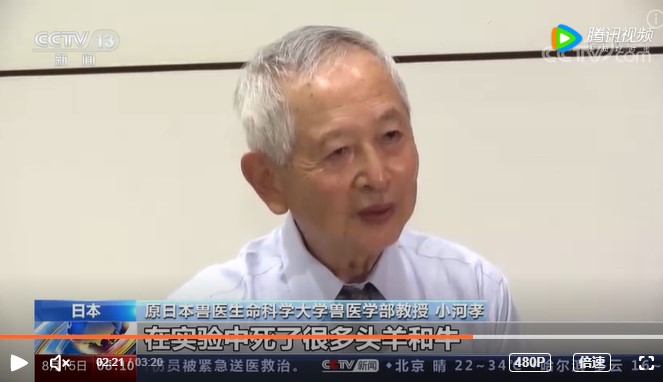 原日本獸醫生命科學大學獸醫學部教授小河孝說，很多羊隻和牛隻在第 100 部隊的實驗當中犧牲。   圖：翻攝自央視