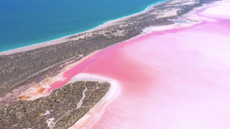 MV取景的「粉紅海」也是特有的自然景觀。   圖：翻攝自周杰倫YT頻道