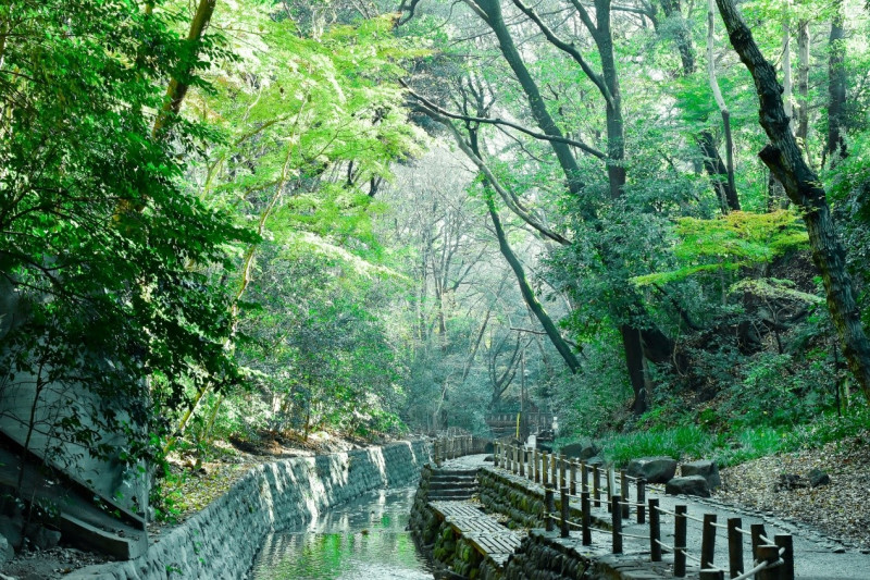 東京23區唯一的溪谷「等等力溪谷」。   圖：東京觀光事務所台灣辦事處／提供