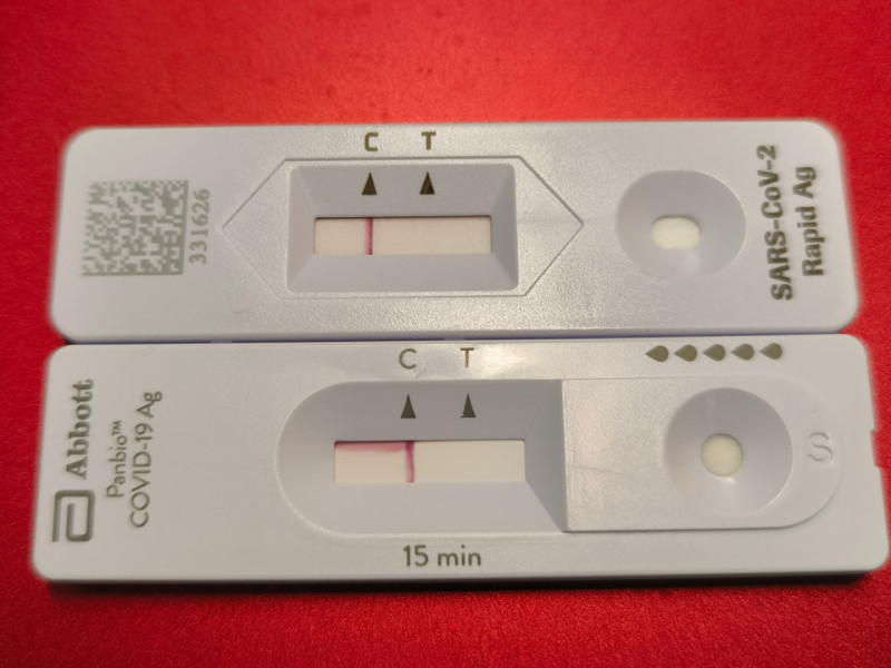 林氏壁表示，回台當天做過深喉唾液PCR，還有第四天、第六天及第八天都做了各兩次快篩，全部皆為陰性，並且今日做了兩個廠牌的快篩也都是陰性。   圖：翻攝自日本自助旅遊中毒者臉書