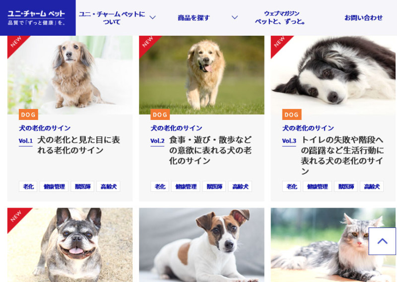 日本嬌聯公司致力寵物市場，針對老齡貓狗推出多項產品，也關注員工家裡的毛小孩。   圖：翻攝日本嬌聯官網