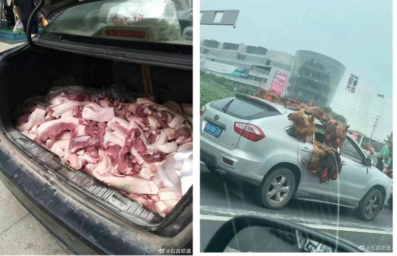 中國網友po出成都封城前，民眾瘋搶物資情形，後車廂一堆生豬肉（左圖）與掛滿活雞的車子，讓人傻眼。   圖：翻攝自石言囈語微博