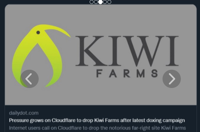 臭名遠播的美國網路論壇Kiwi Froms因嚴重的仇恨言論，被終止網路服務。   圖:翻攝自#DropKiwifarms網站