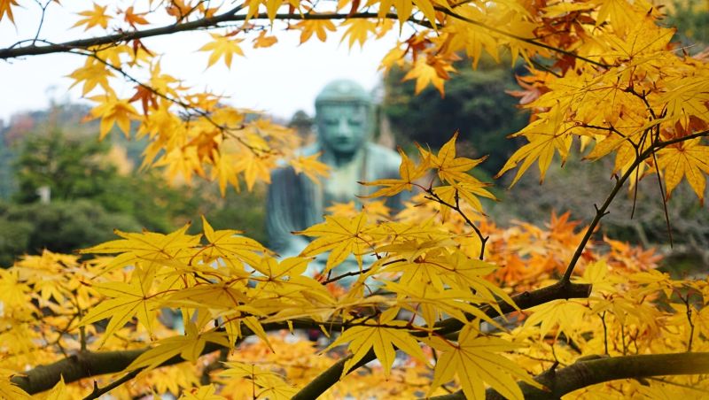 颱風過後天氣轉涼，今迎來24節氣中的「白露」，象徵時節轉陰、天氣開始涼爽，命理專家提醒6禁忌。   示意圖／取自photoAC