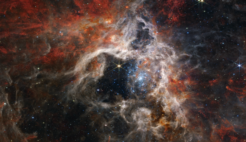 「宇宙狼蛛」（Cosmic Tarantula）恆星，最活躍的區域充滿著閃爍著淡藍色的年輕恆星。   圖: 翻攝自 NASA官網