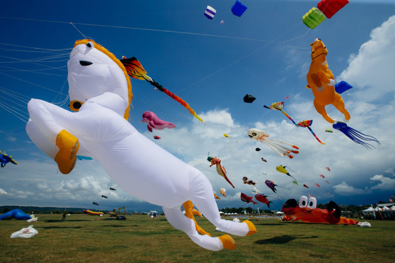 今年以「風．潮」為主題，有一系列的風箏表演，不僅會放飛冰淇淋、雪糕風箏，還有老虎、飛天豬、猴子等動物造型風箏。   圖：翻攝自新竹市國際風箏節官網