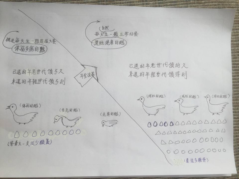 副總統陳建仁在國是會議前以「鵝生蛋」為主題，敘述台灣年金制度現況。   圖：翻攝自陳建仁臉書