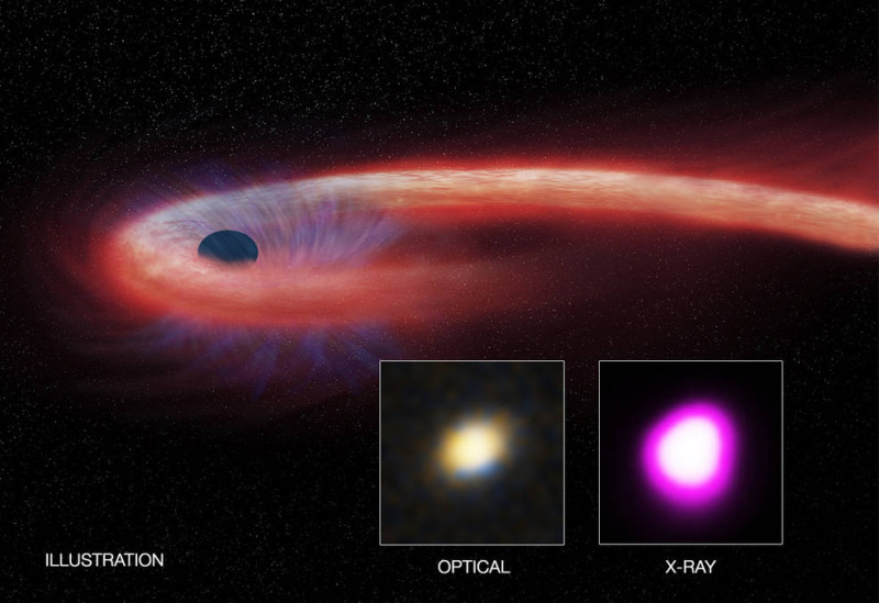 美國新罕布什爾大學科學家林達成與團隊發現，有1巨型黑洞利用10年時間吞噬1顆恆星，創下紀錄。   圖：翻攝NASA官網