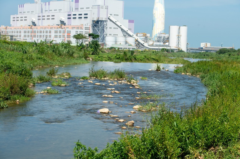 林口溪近年一改以往髒亂惡臭，重現清澈的溪流及多樣生態。   圖：林口區公所提供