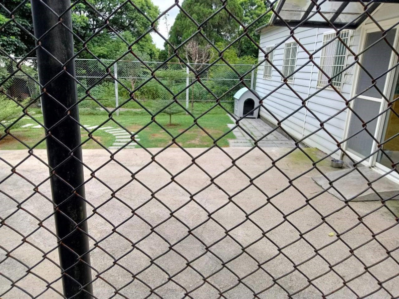 特定寵物長照之家有適當戶外空間讓毛寶貝玩耍。   圖：新北市動保處提供