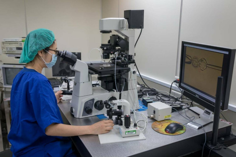 醫檢師在顯微鏡下執行精子與卵子的受精作業．   圖：長庚醫院/提供