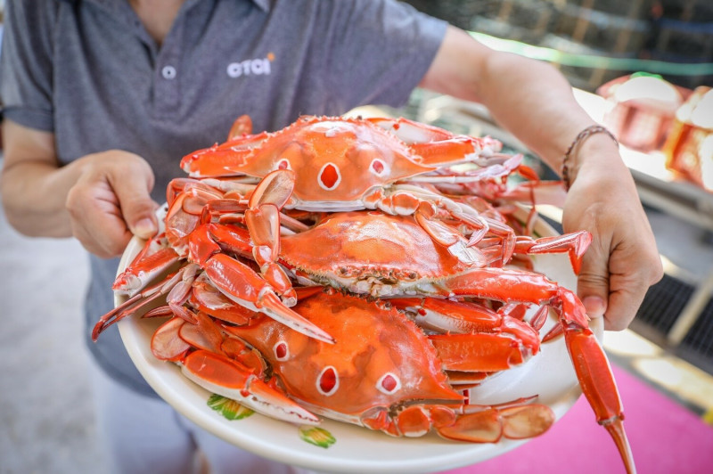 三點蟹產量為三種蟹中最大，價格親民受到饕客喜愛，圖中為民眾手持餐盤盛裝蒸熟後三點蟹。   圖：新北市農業局漁業處提供