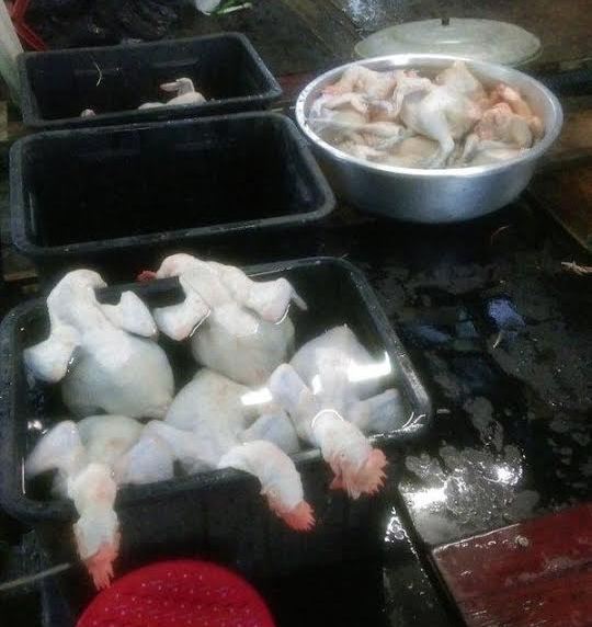 20隻私宰雞隻遭化製銷毀。   圖：高雄市農業局提供