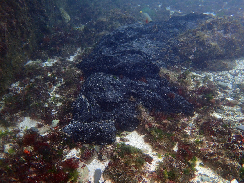 環保署今天公布巡查綠島海岸發現的油污狀況。   圖:行政院環保署提供