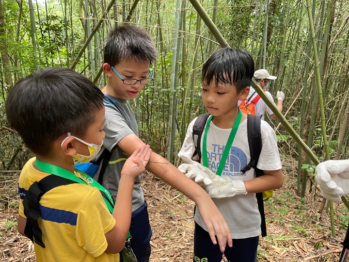 實際走入「微笑山線」認識山林之美，透過大自然培養孩子的洞察力，也讓小朋友們親近生態（活動資料照）。   圖：新北市觀旅局提供