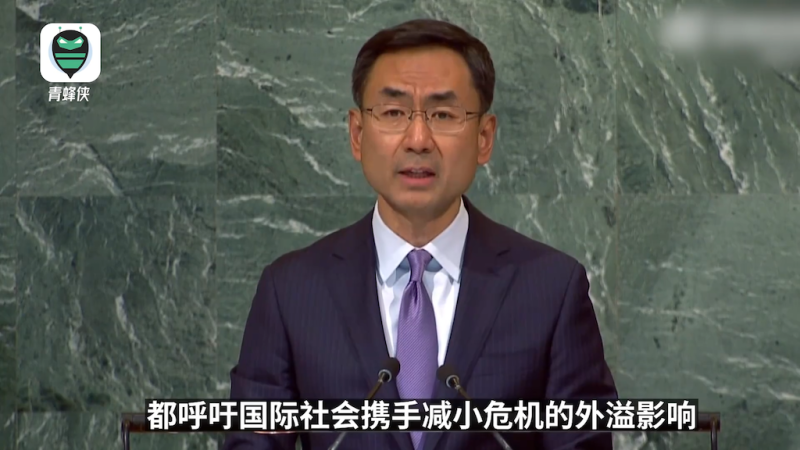 中國聯合國副代表耿爽於聯合國大會發言。   圖：翻攝自青蜂俠影片