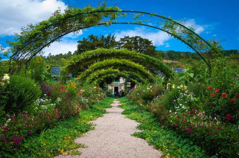 法國莫內花園。（示意圖）   圖：翻攝自Unsplash/Veronica Reverse 圖庫