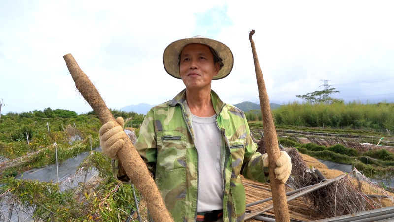 吳國賢透過細心的田間管理克服多變氣候。   圖：新北市農業局提供