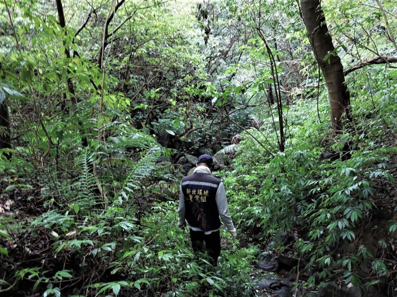 為利完整蒐證，重案組同仁沿山林小溪潛入山谷中。   圖：新北市環保局提供