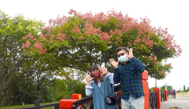 歡樂趣味的與蒴果滿滿的台灣欒樹來一張合照。   圖：新北市高灘處提供