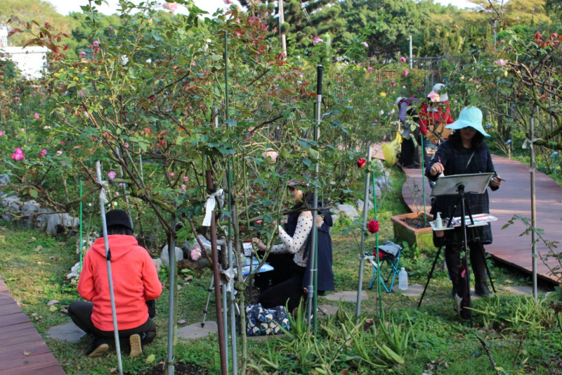 臺北玫瑰園園內一隅，民眾除賞花外還可在此寫生作畫。   圖：翻攝自台北市政府網站