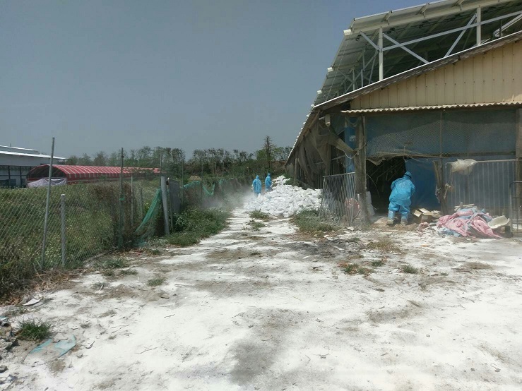檢疫人員27日在嘉義縣六腳鄉進行禽場消毒工作。   圖:嘉義縣政府提供