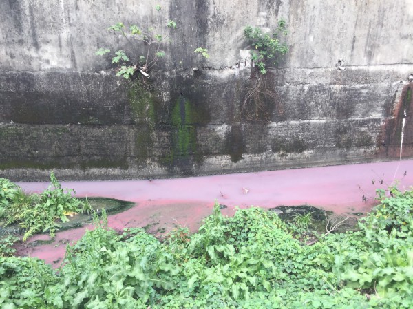 新北市環保局23日接獲通報，發現被紅色廢水染紅的二八張溝。   圖：翻攝新北市環保局網站