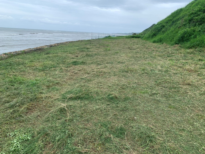 淡水動物之家獸醫與動保員合作完成遛犬區除草。   圖：新北市動保處提供