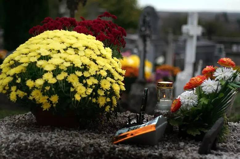 法國清明節，民眾在已逝親人墓碑前獻花。   圖：翻攝陸網/SOHU