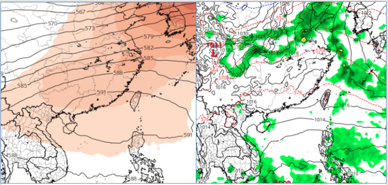 根據最新歐洲模式模擬天氣圖顯示，500百帕「副熱帶高壓」籠罩台灣附近；台灣無降水(右圖)。   圖：翻攝自老大洩天機專欄