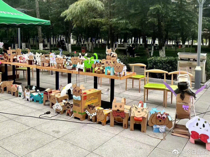 中國大學生近期流行養紙箱狗紓壓，學生會到操場溜紙狗並PO網分享紙狗生活照。   圖: 翻攝自今日武漢微博 