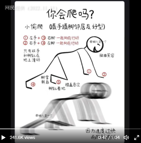 也中國網友繪製爬行教學圖。   圖：翻攝自新聞調查推特