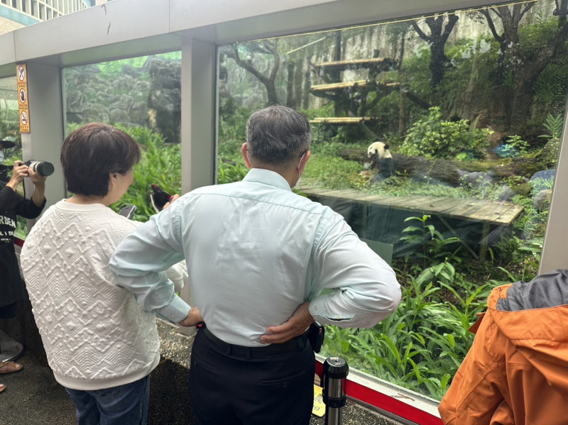 台北市長柯文哲、無黨籍台北市長候選人黃珊珊今赴台北市立動物園看貓熊。   圖：台北市政府 / 提供