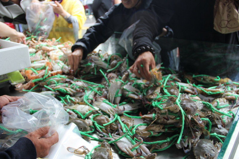當季肥蟹促銷特賣。   圖：淡水區漁會提供