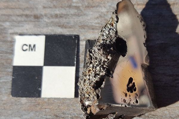 El Ali 隕石的採樣現在存放在加拿大阿爾伯塔大學的隕石收藏中。   圖: 翻攝自阿爾伯塔大學
